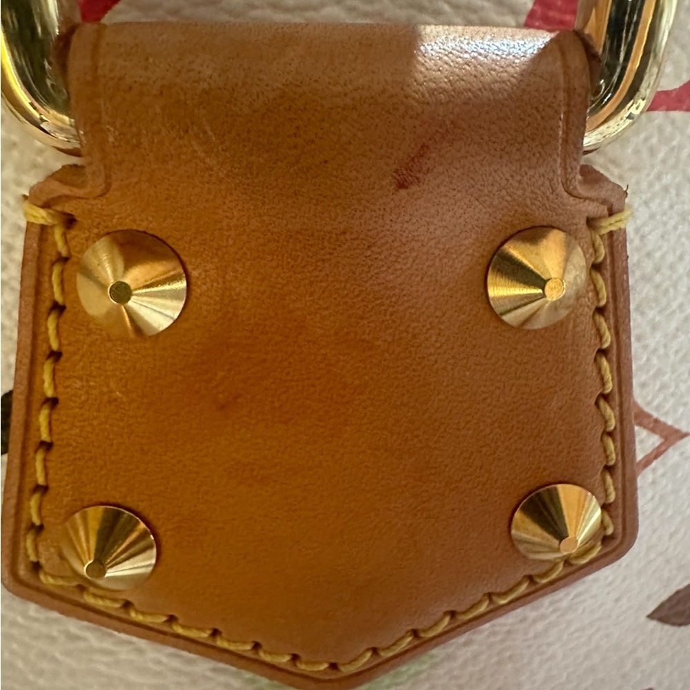 Authentic Lv Multicolored Alma Pm - image 4